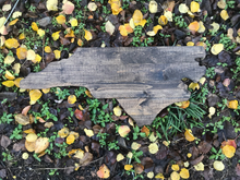 Load image into Gallery viewer, Medium North Carolina Sign Wall Art